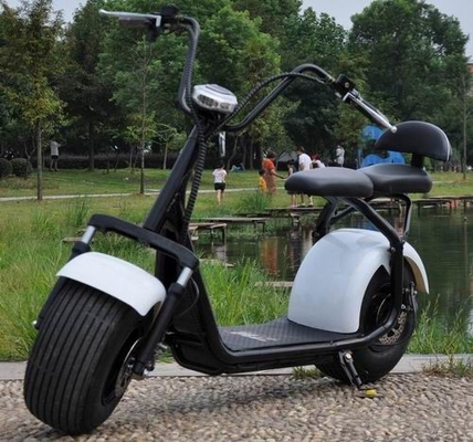Chine scooter électrique d'adulte de scooter de citycoco de roue du scooter 2 de moto de gros pneu fournisseur